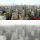 Image for article titled These images show just how differently cats and humans see the world
